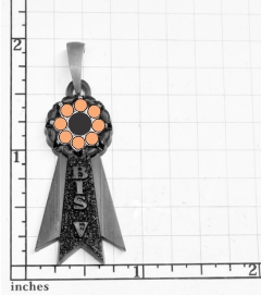 (image for) BISVribbon